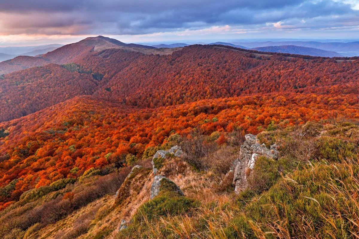 Pensjonat Pod Rożkami w Cisnej – noclegi w Bieszczadach dla rodzin i par